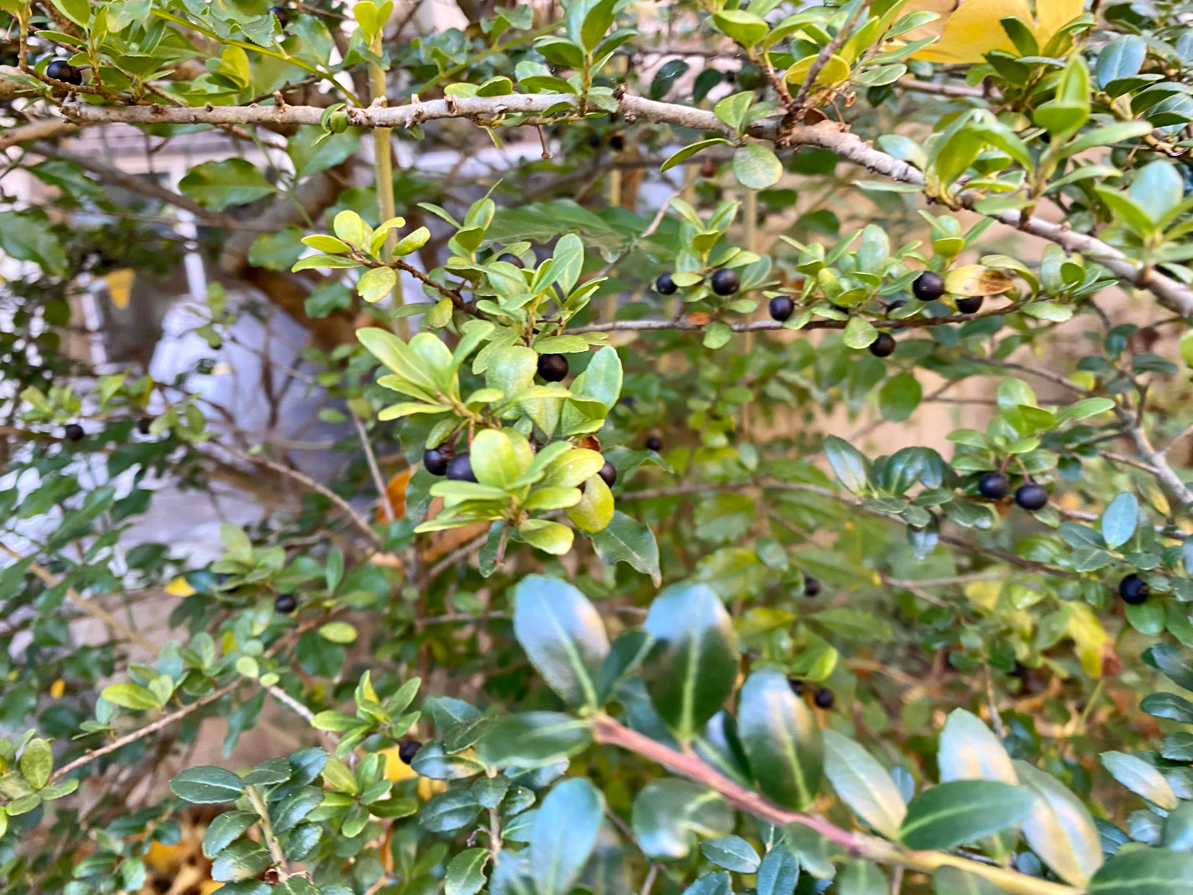 (京都大学11月)