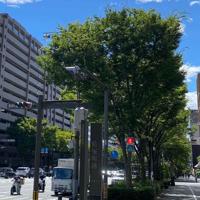 ケヤキ